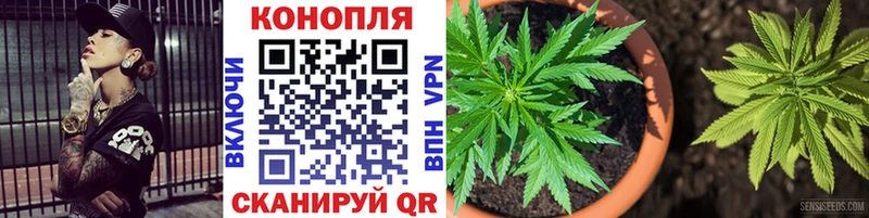 Купить закладку A-PVP  Мефедрон  MDMA  Каннабис  Гашиш  АМФ  Жердевка